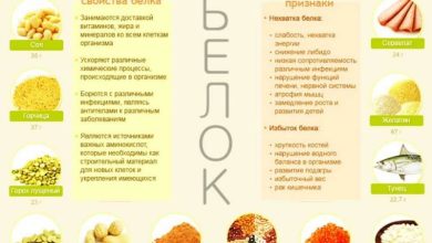 Photo of Белковая диета для спортсменов