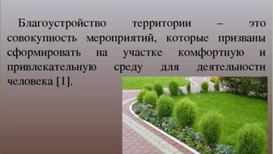 Photo of Работы по благоустройству территории
