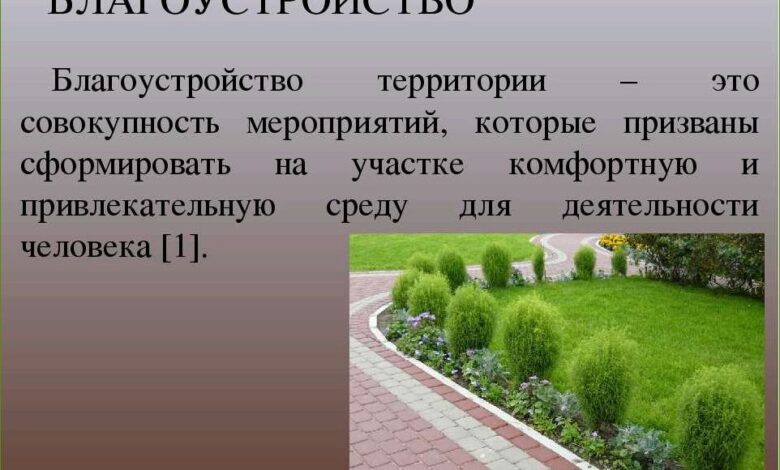 Photo of Работы по благоустройству территории